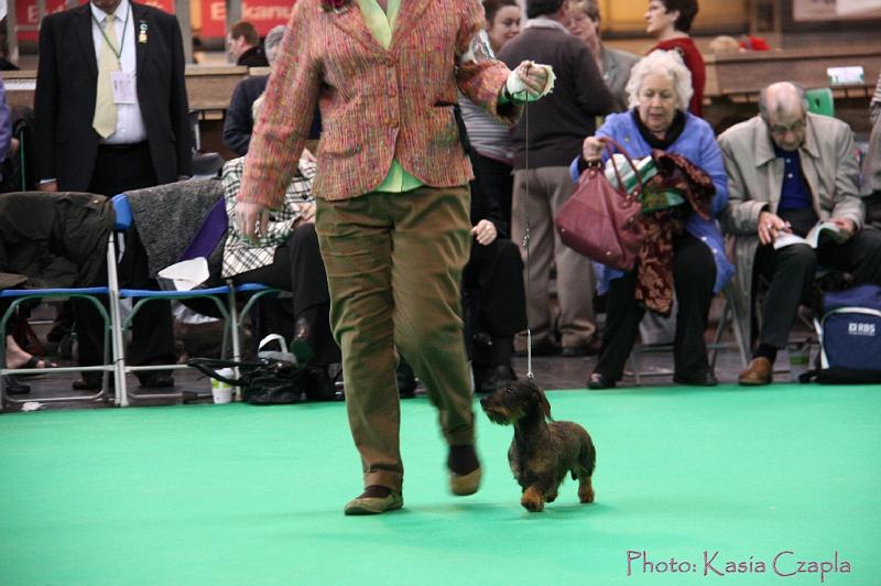 Crufts2011_2 1037.jpg